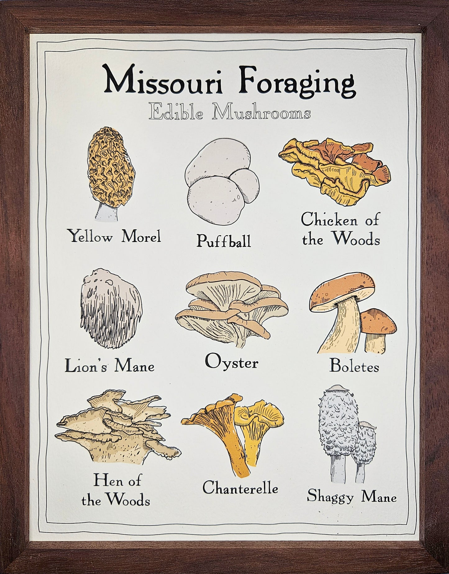 Missouri Foraging - Edible Mushrooms Print