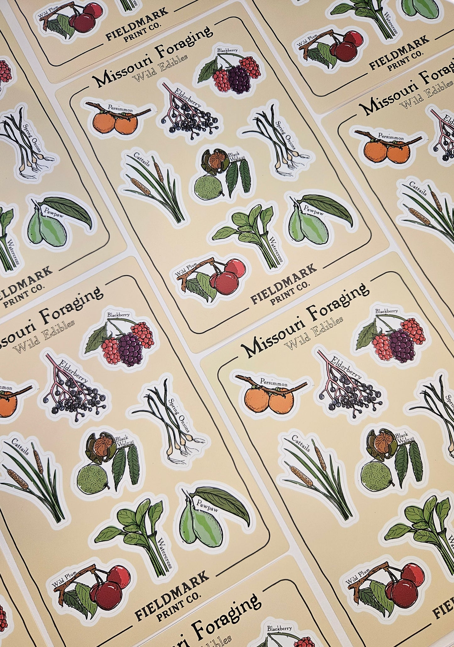 Missouri Foraging - Wild Edibles Sticker Sheet
