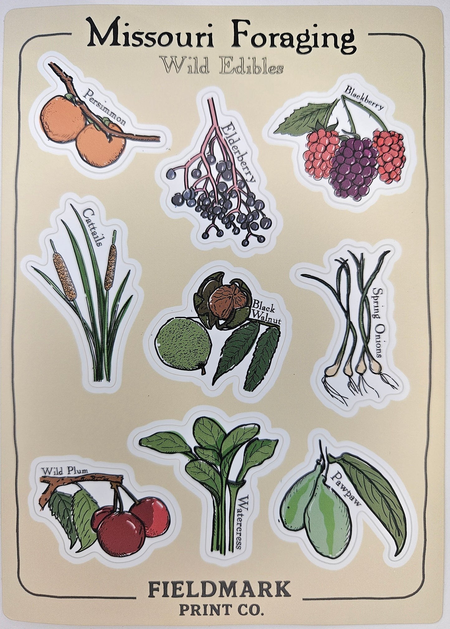 Missouri Foraging - Wild Edibles Sticker Sheet
