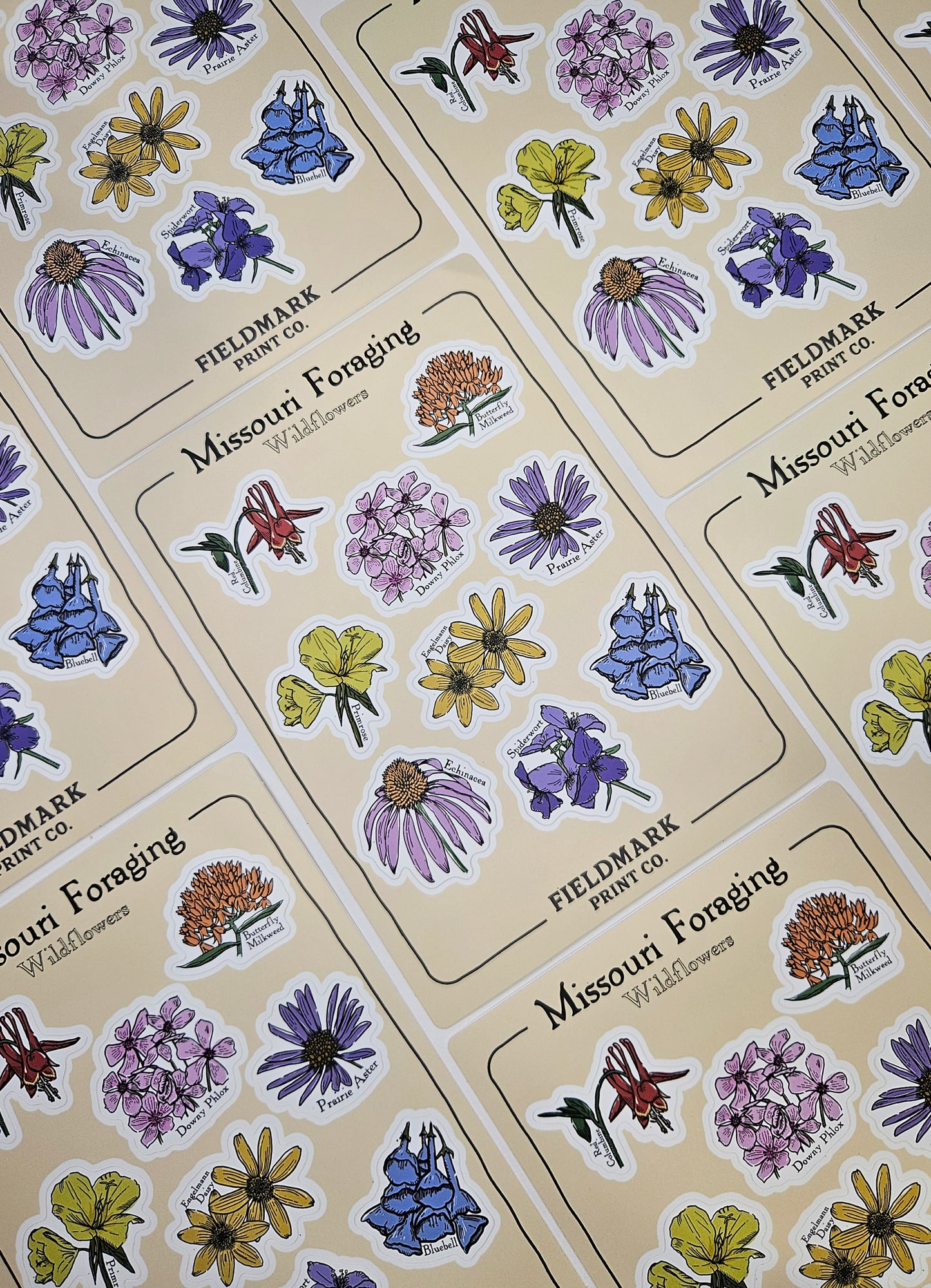 Missouri Foraging - Wildflowers Sticker Sheet