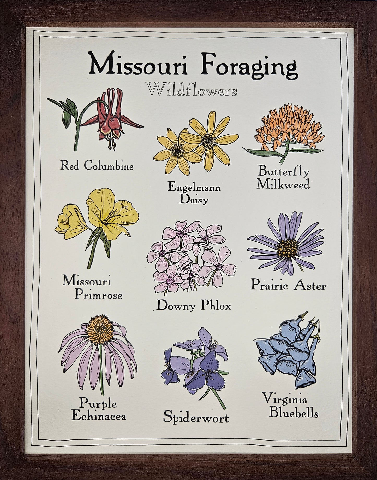 Missouri Foraging - Wildflowers Print
