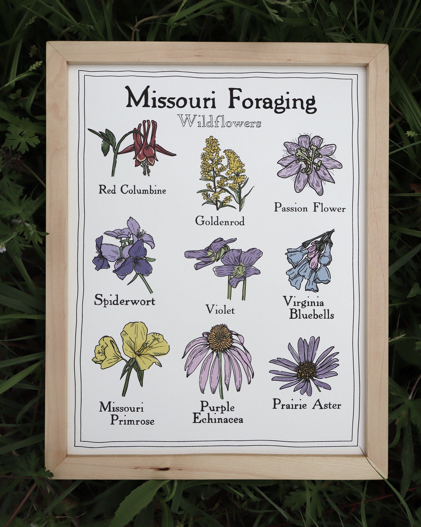 Missouri Foraging - Wildflowers Print