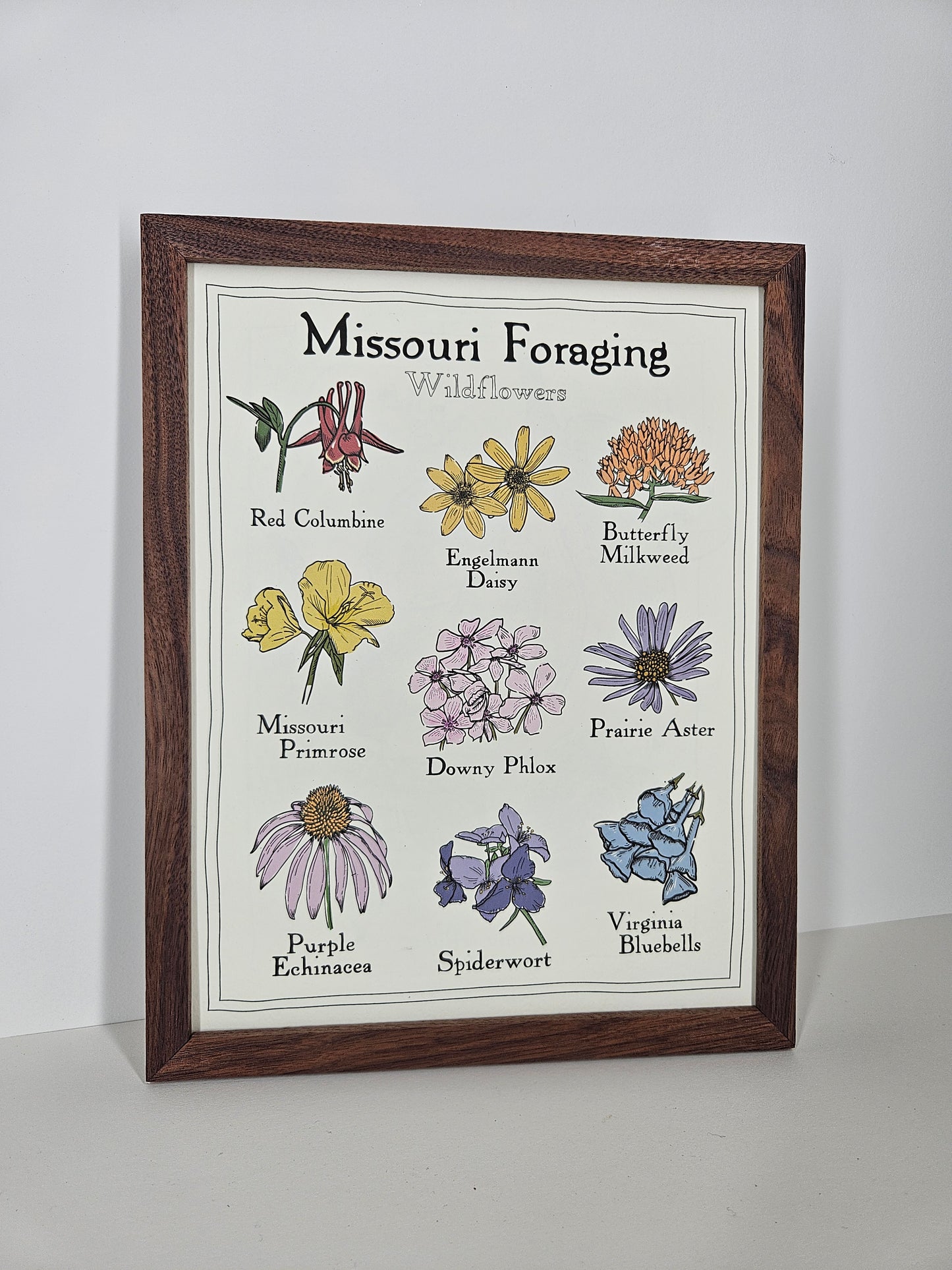 Missouri Foraging - Wildflowers Print