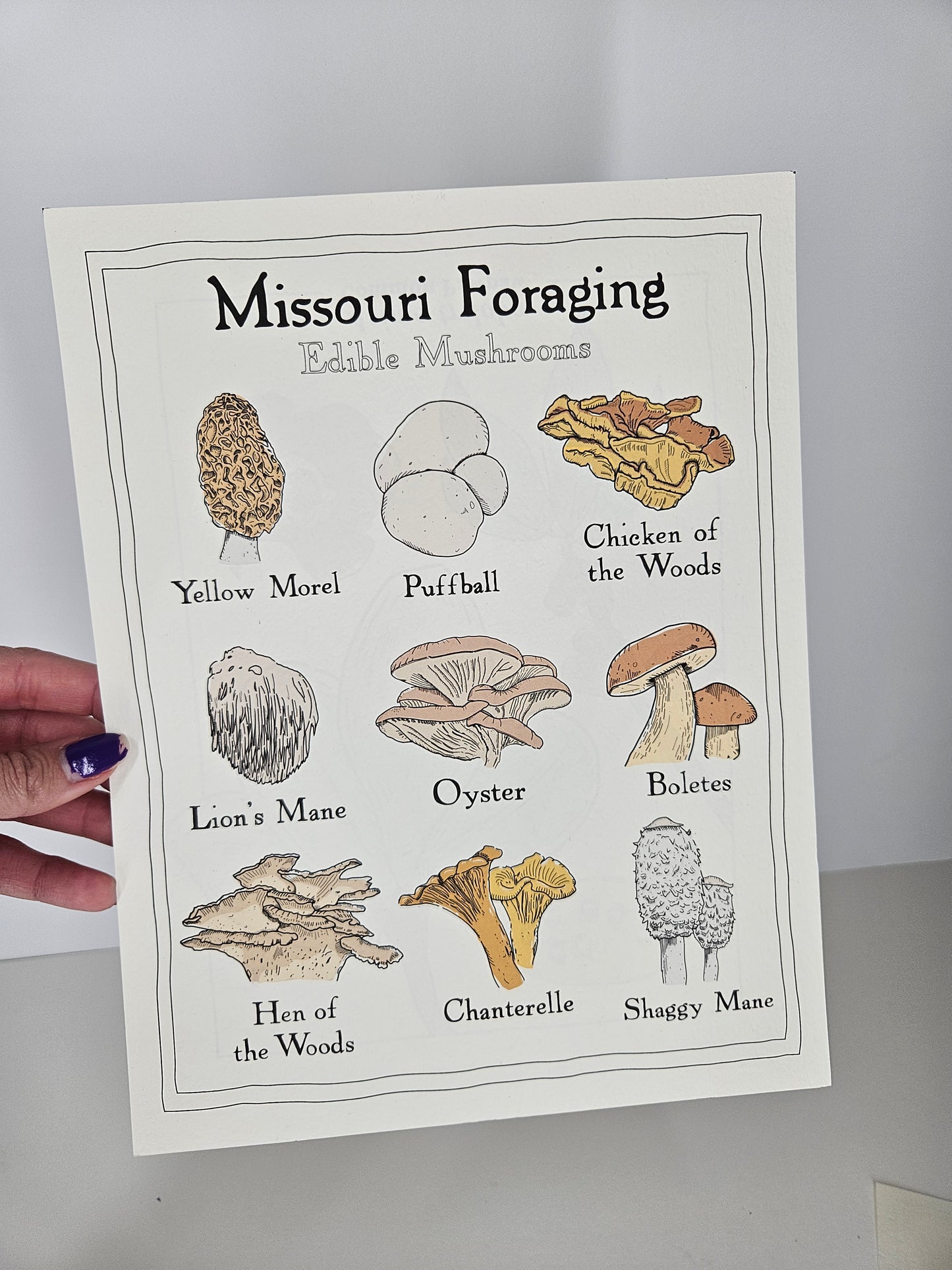 Missouri Foraging - Edible Mushrooms Print
