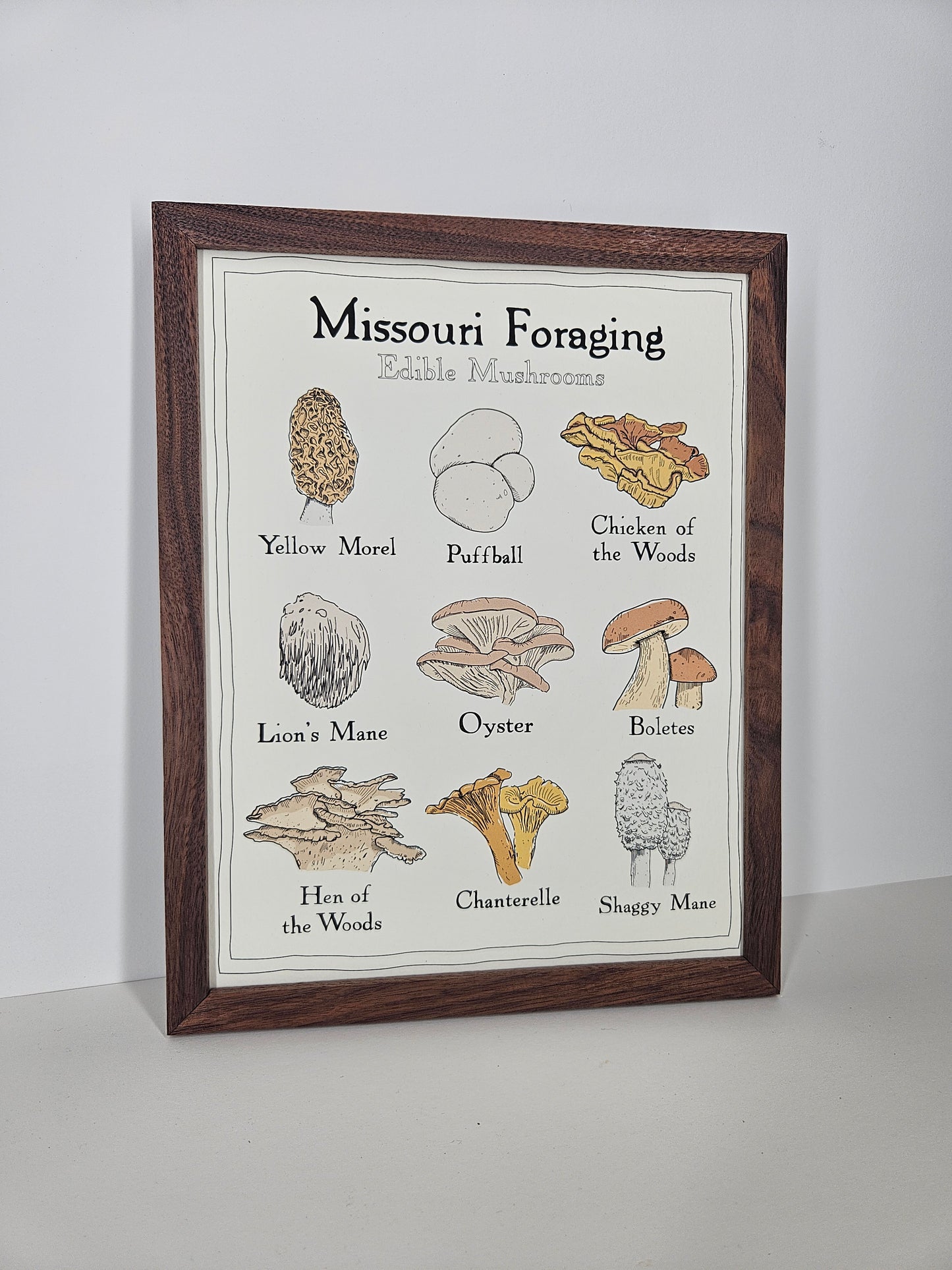 Missouri Foraging - Edible Mushrooms Print