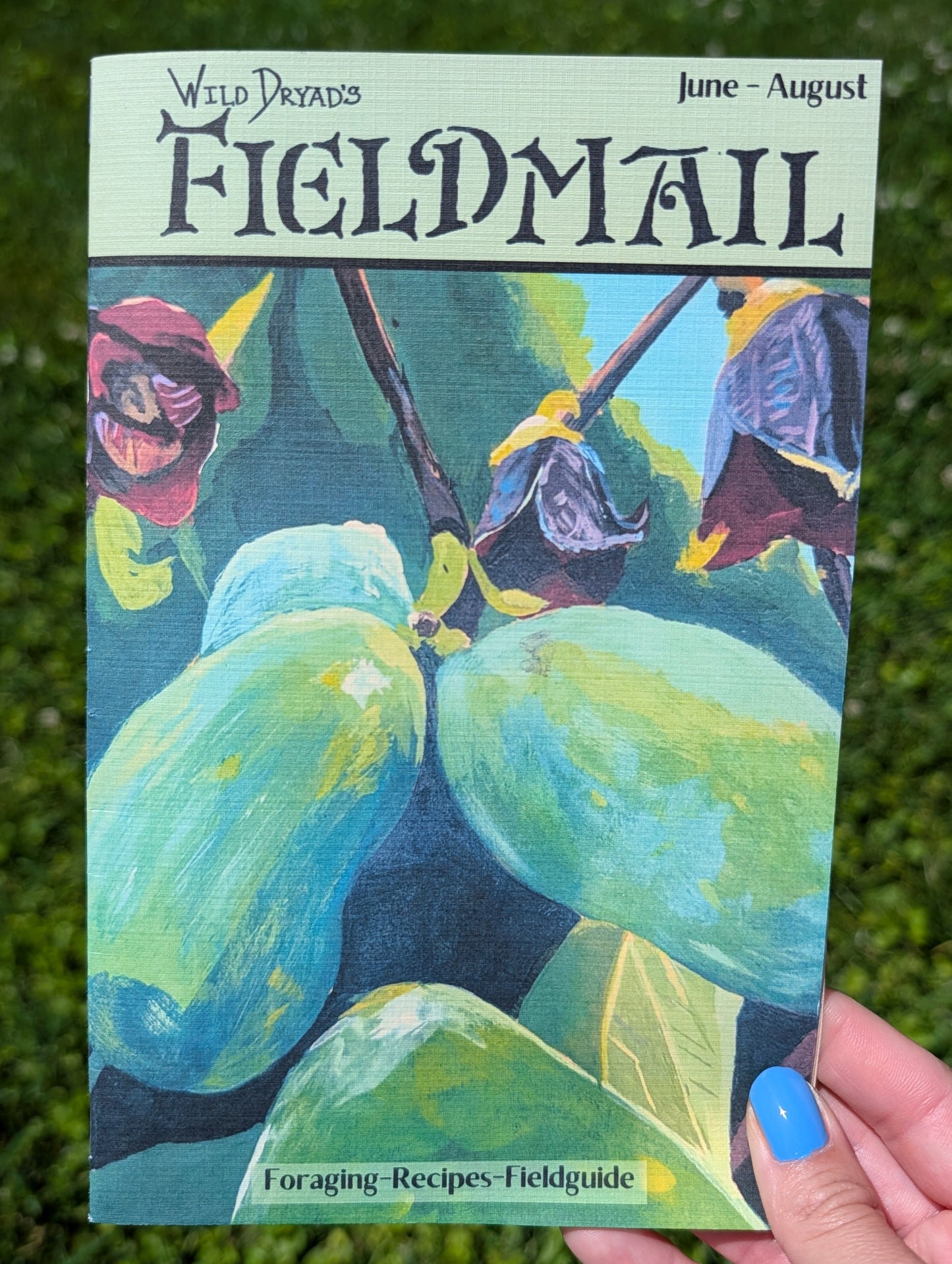 Fieldmail Zine (Summer)