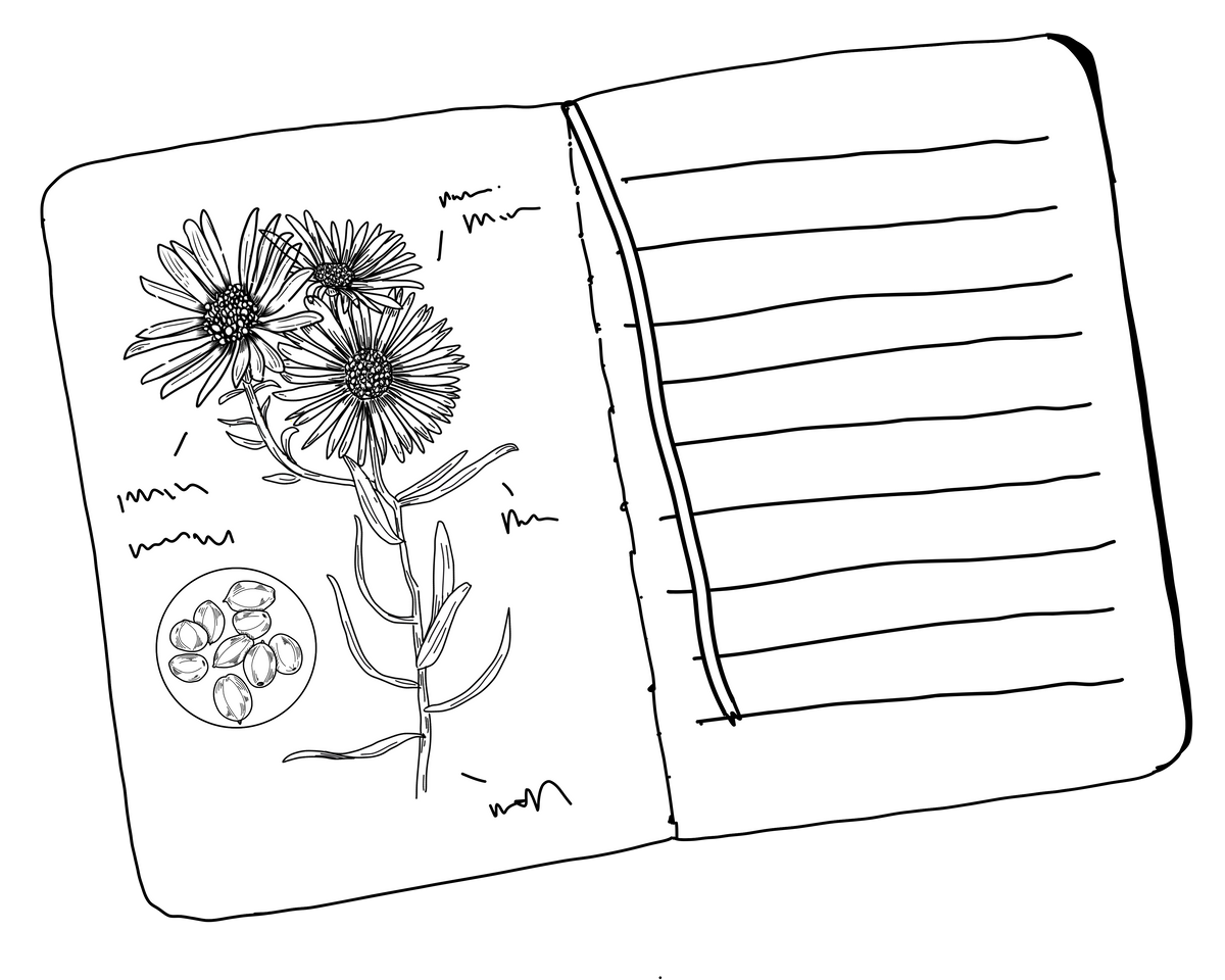 Notebook Illustration