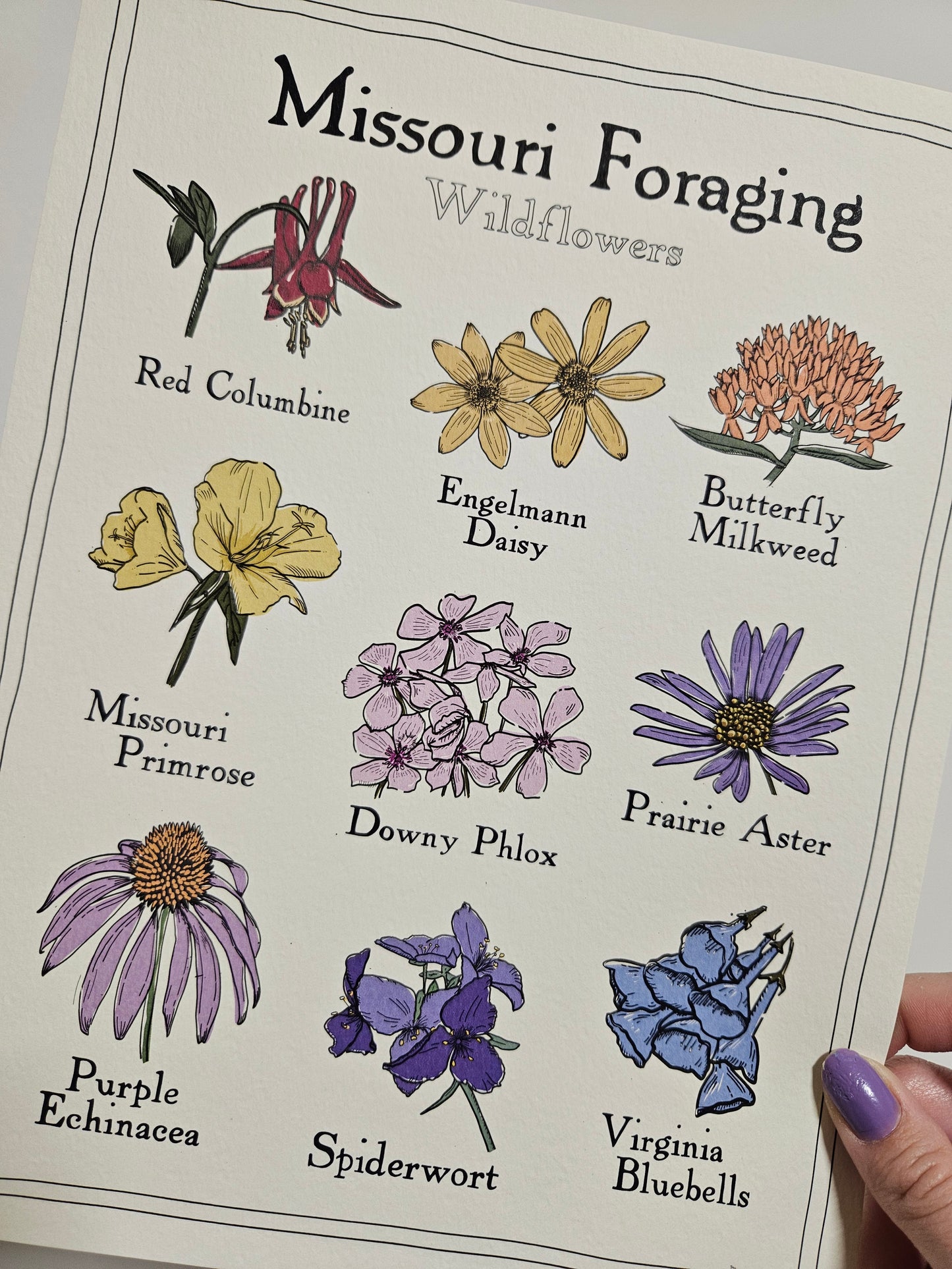 Missouri Foraging - Wildflowers Print