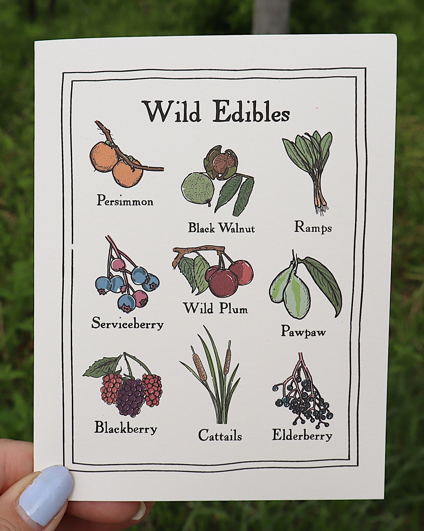 Wild Edibles Greeting Card