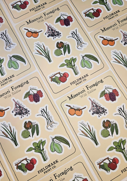 Missouri Foraging - Wild Edibles Sticker Sheet