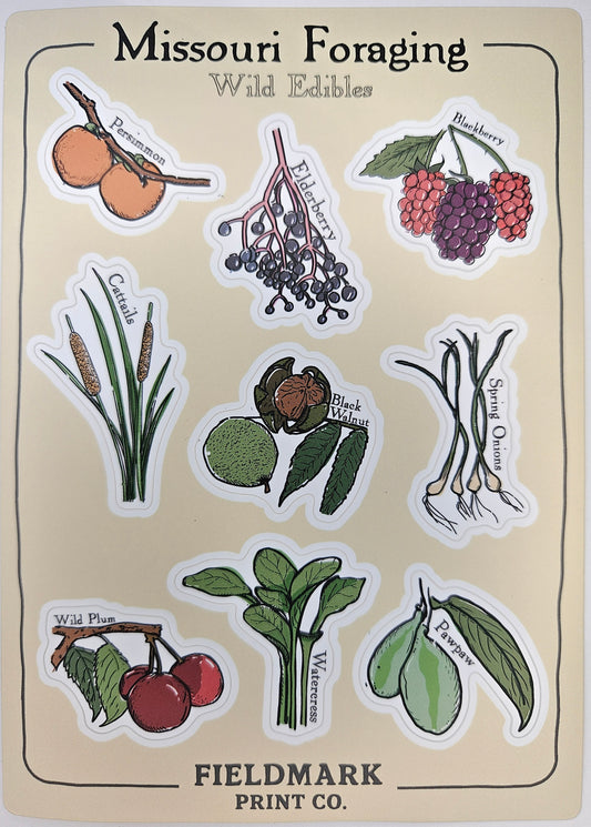Missouri Foraging - Wild Edibles Sticker Sheet