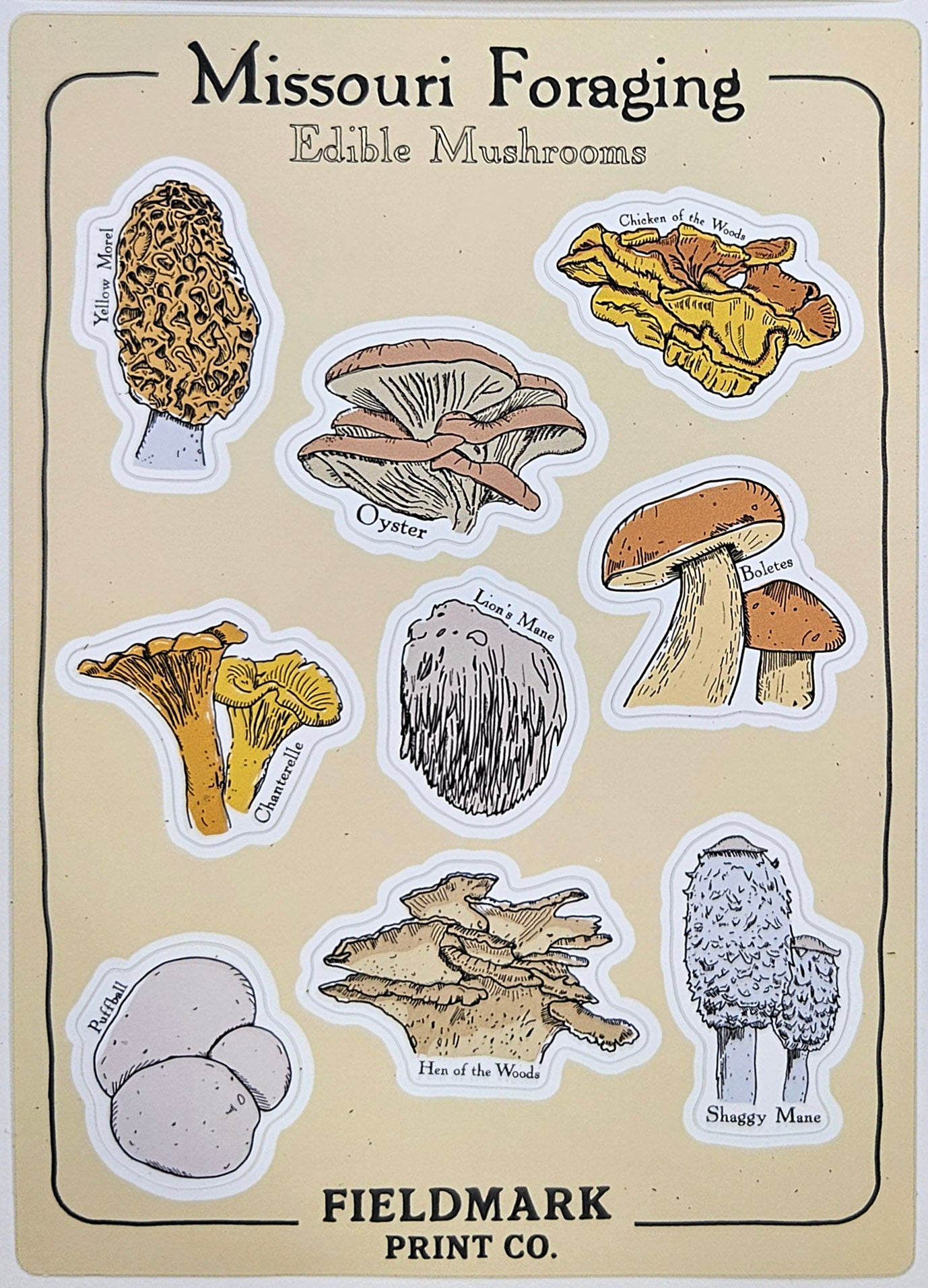 Missouri Foraging - Edible Mushrooms Sticker Sheet