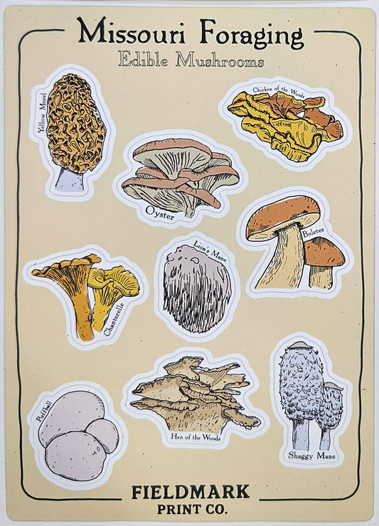 Missouri Foraging - Edible Mushrooms Sticker Sheet