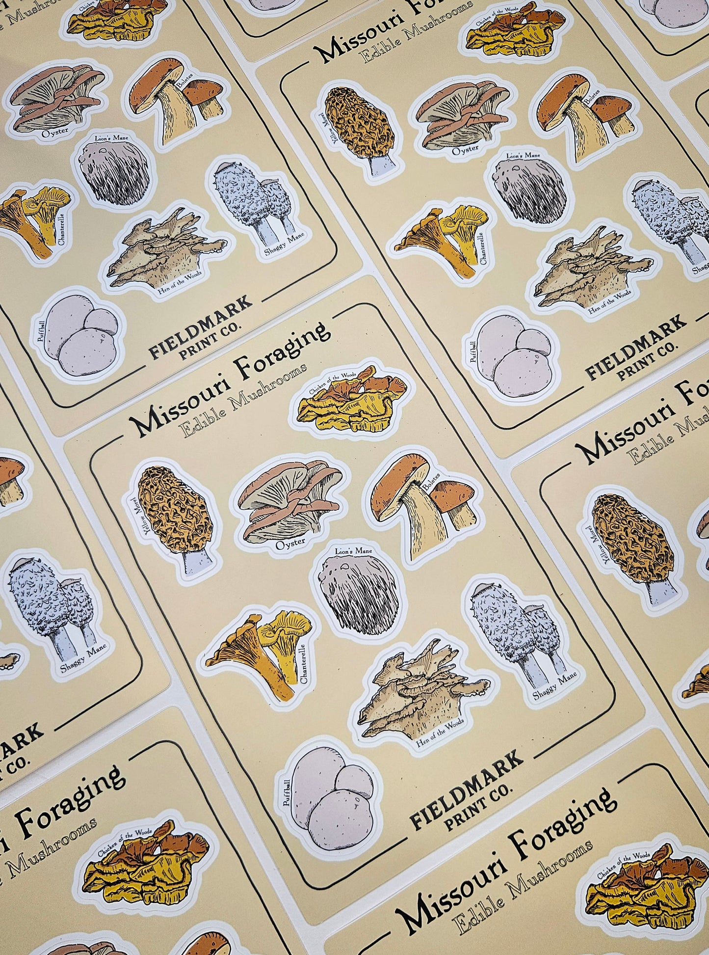 Missouri Foraging - Edible Mushrooms Sticker Sheet