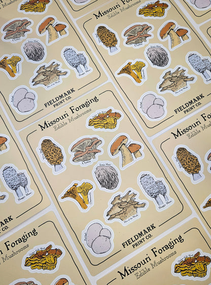 Missouri Foraging - Edible Mushrooms Sticker Sheet