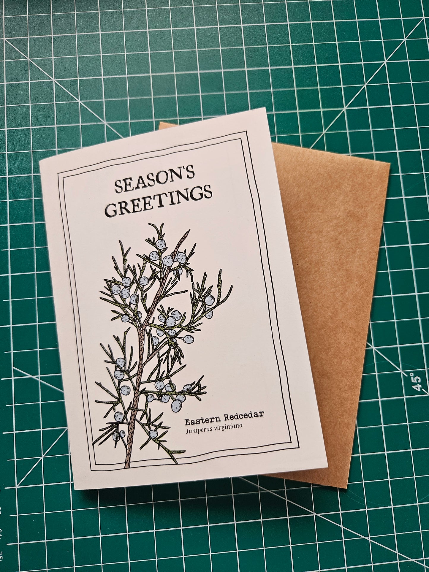 Season's Greetings Card