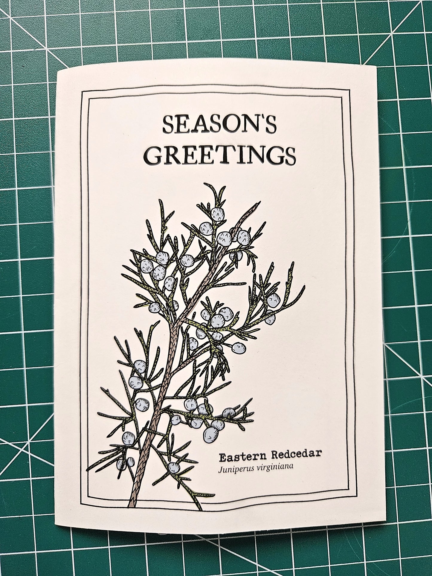Season's Greetings Card