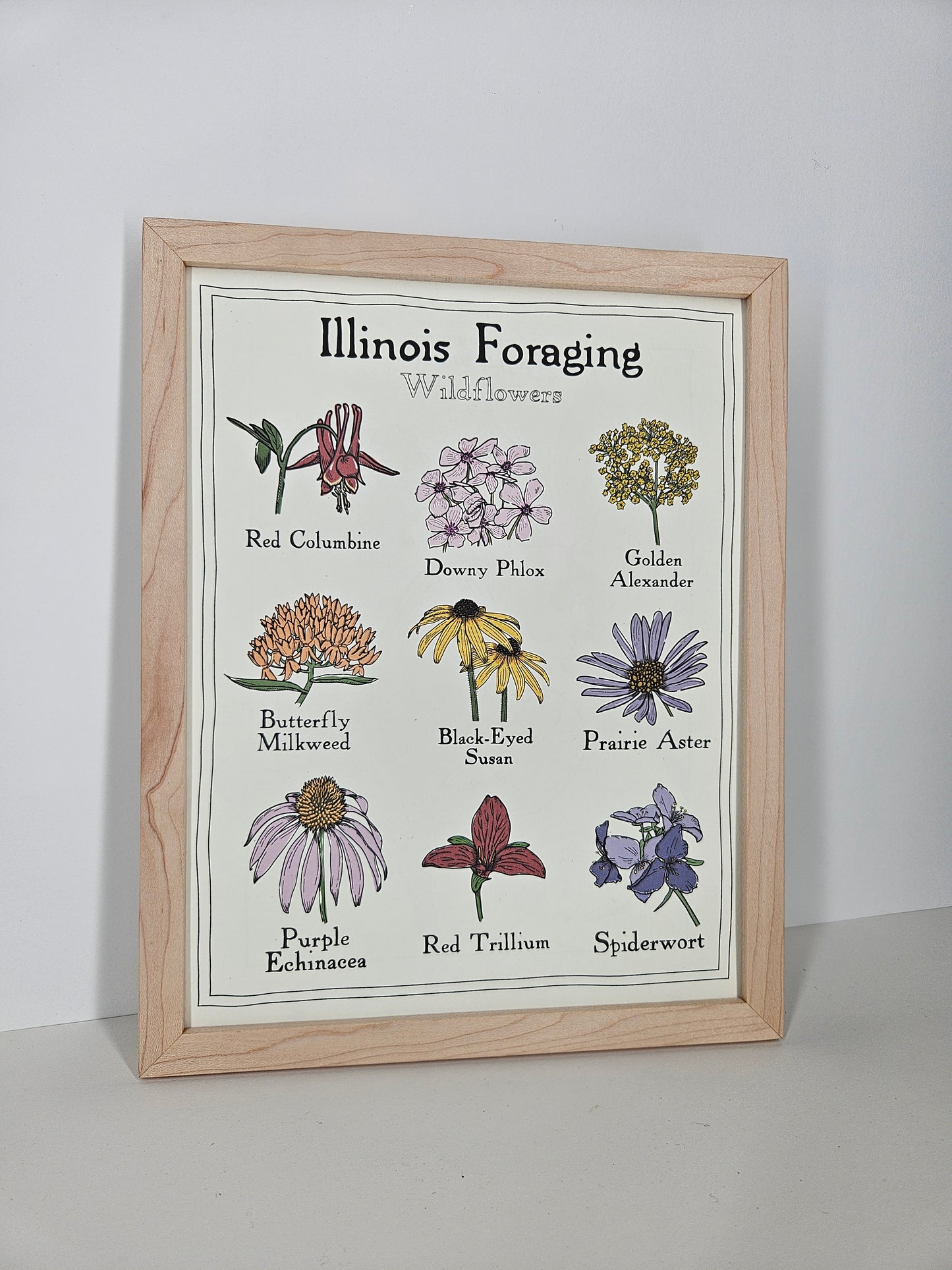 Illinois Foraging: Wildflowers Print