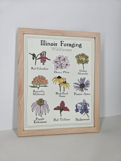 Illinois Foraging: Wildflowers Print