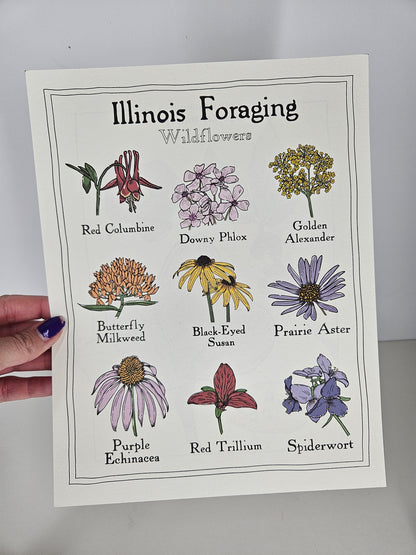 Illinois Foraging: Wildflowers Print
