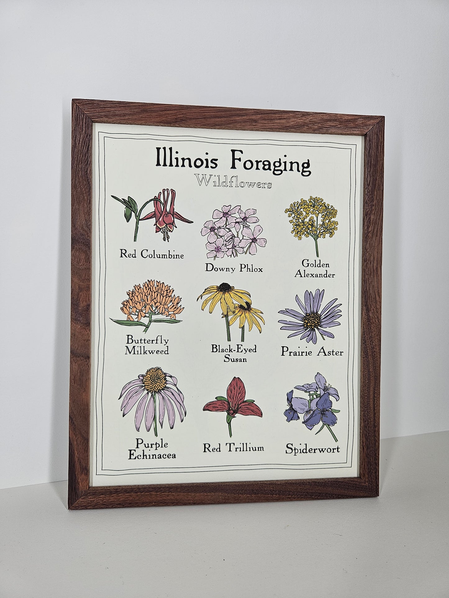 Illinois Foraging: Wildflowers Print