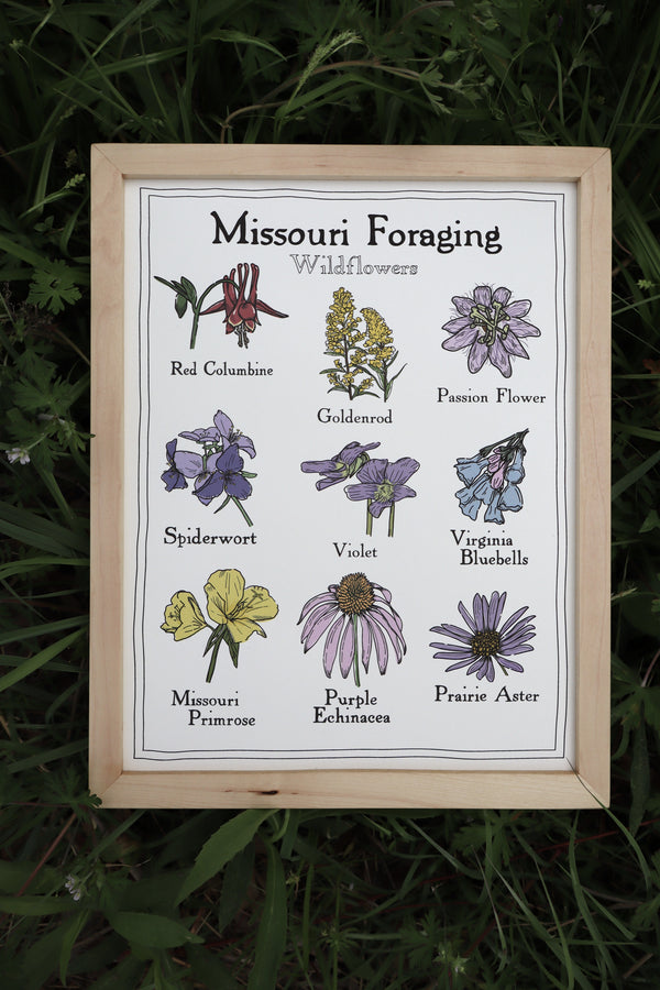 Missouri Foraging - Wildflowers Print