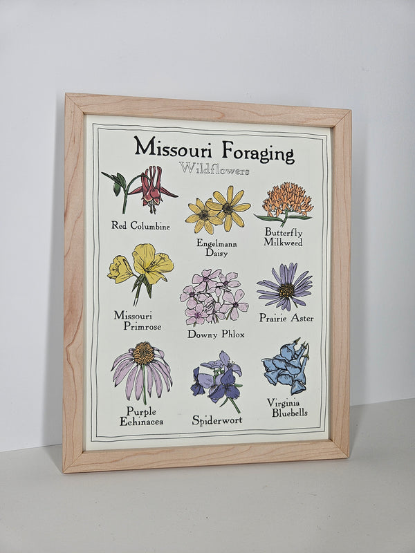 Missouri Foraging - Wildflowers Print