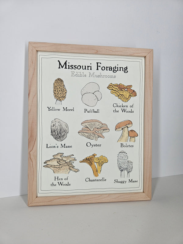Missouri Foraging - Edible Mushrooms Print