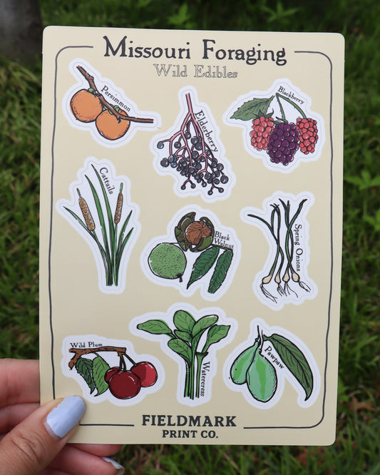 Missouri Foraging - Wild Edibles Sticker Sheet