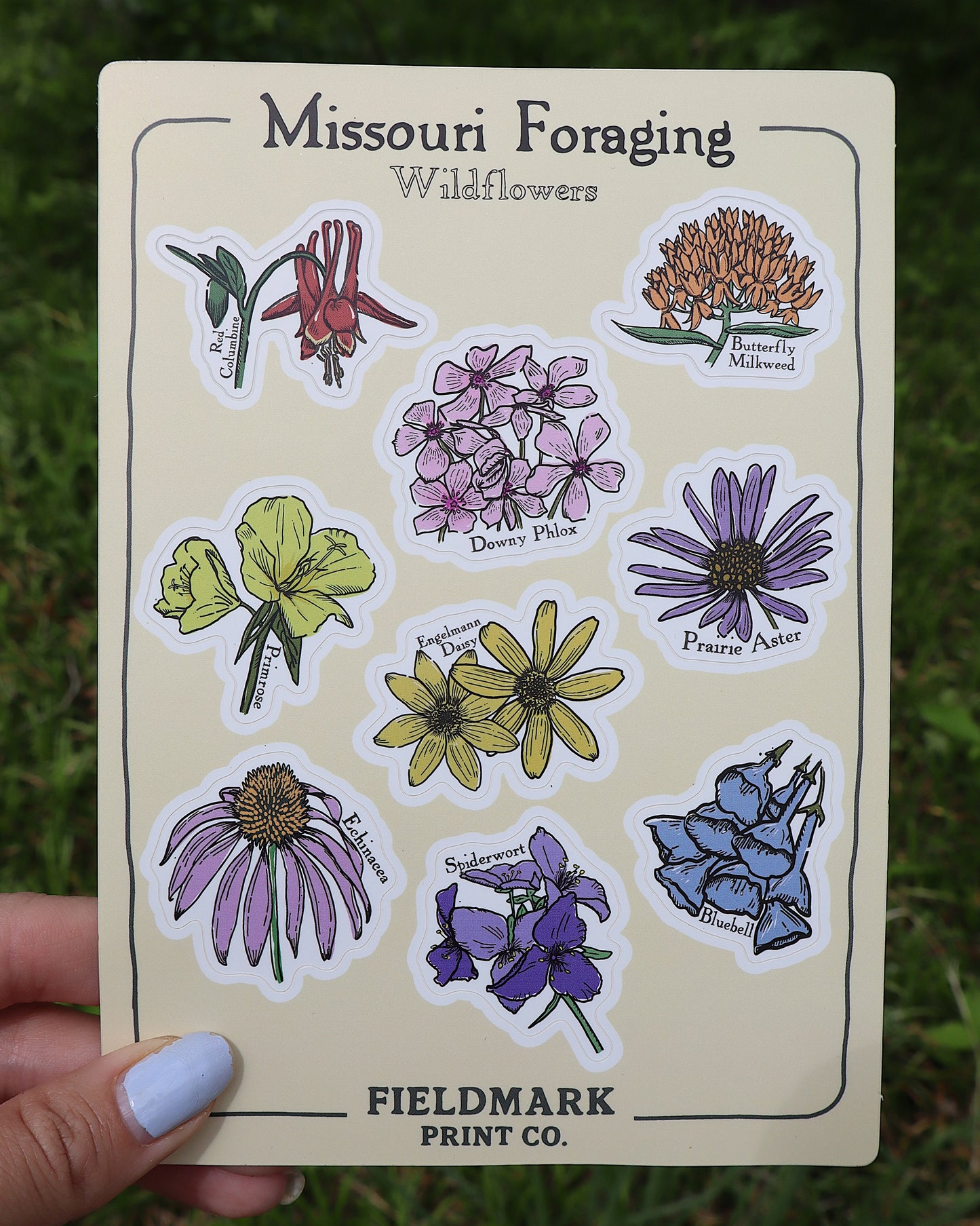Missouri Foraging - Wildflowers Sticker Sheet
