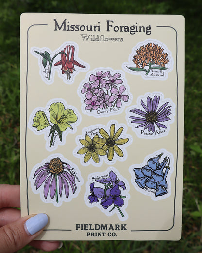 Missouri Foraging - Wildflowers Sticker Sheet