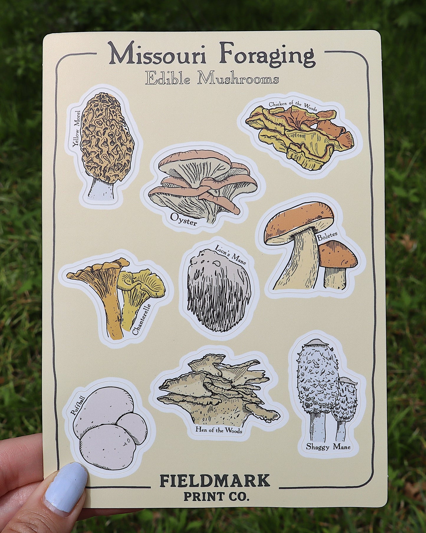 Missouri Foraging - Edible Mushrooms Sticker Sheet