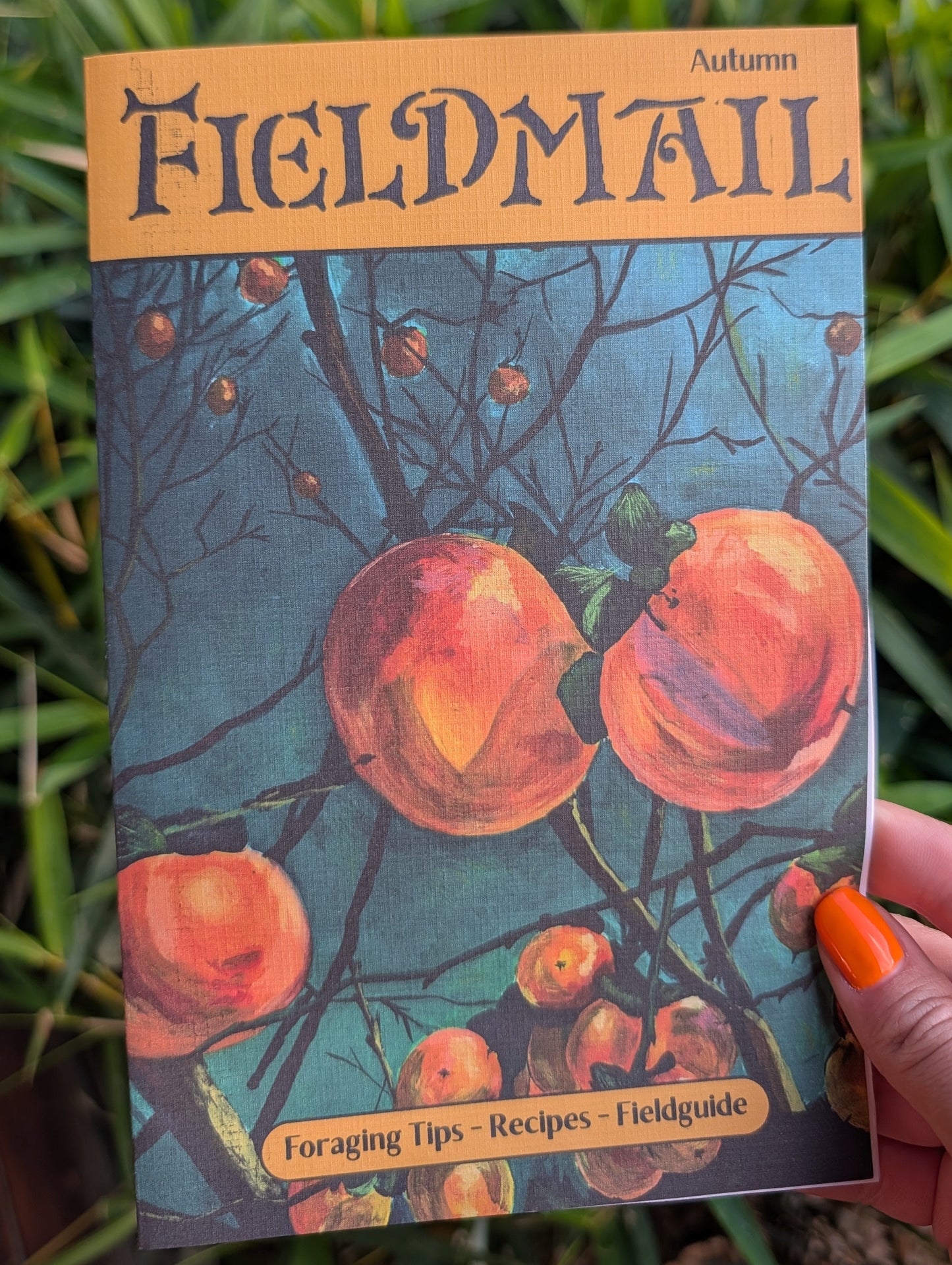 Fieldmail Zine (Autumn)