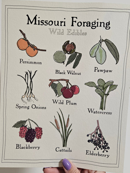 Missouri Foraging - Wild Edibles Print