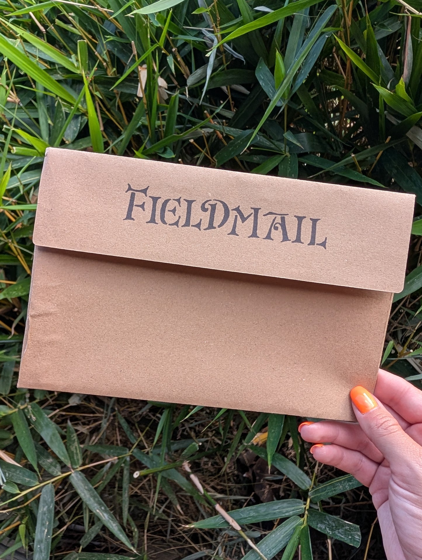 Fieldmail Zine (Autumn)