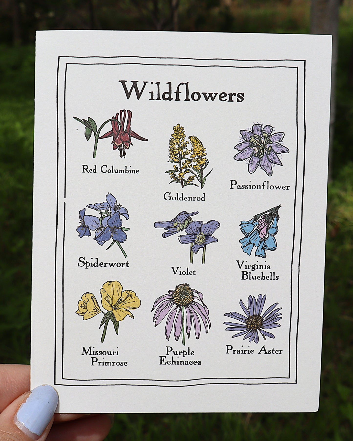 Wildflowers Greeting Card